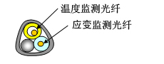 FN-SIL-1图片